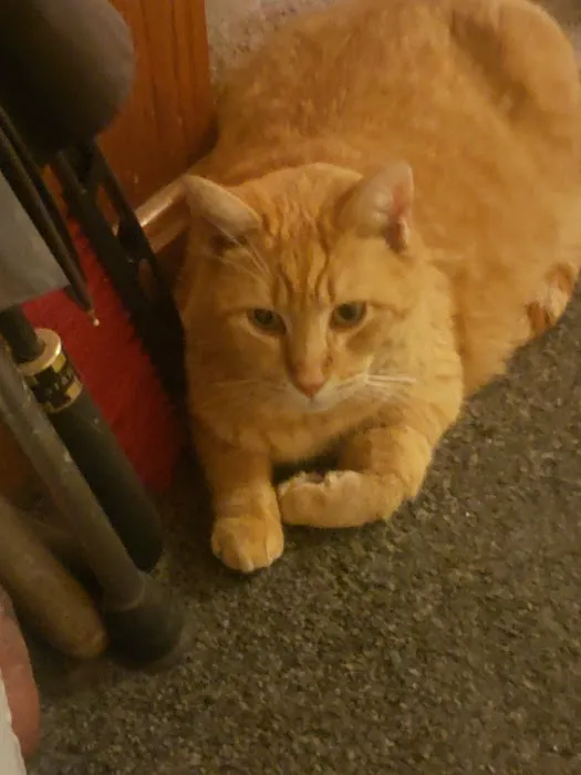 Fairfield Animal Hospital Picture 4