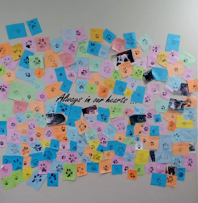 Lee County Veterinary Care Picture 5