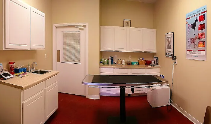 Lee County Veterinary Care Picture 4