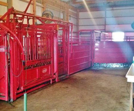 Lee County Veterinary Care