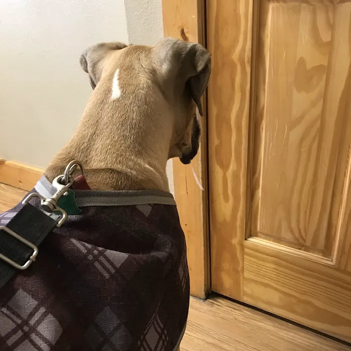 Two Rivers Veterinary Center, Inc. Picture 9