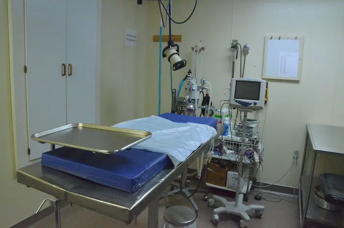 Krichel Animal Hospital Inc. Picture 2