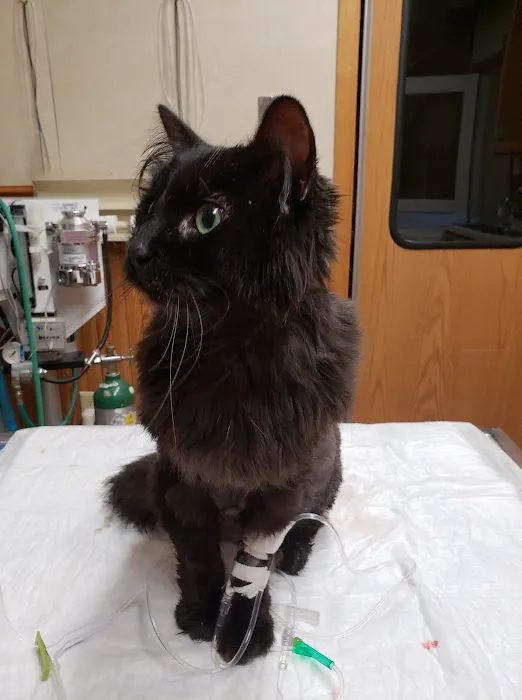 Krichel Animal Hospital Inc. Picture 4