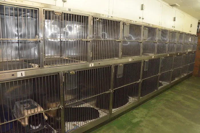 Krichel Animal Hospital Inc. Picture 10