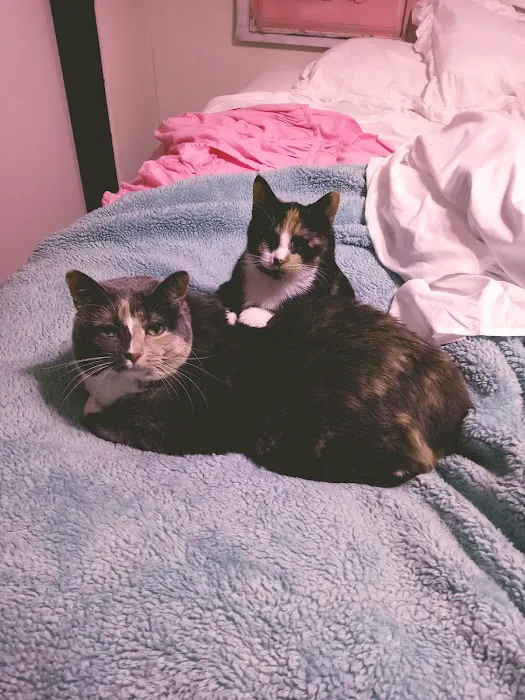 Krichel Animal Hospital Inc. Picture 5