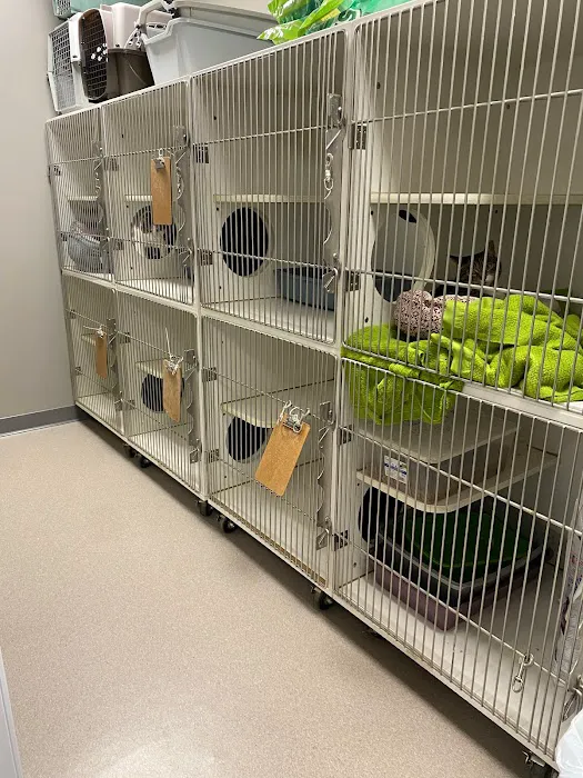 Keokuk Veterinary Hospital Picture 8