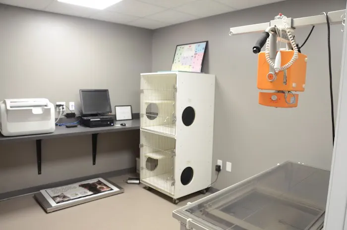 Keokuk Veterinary Hospital Picture 9