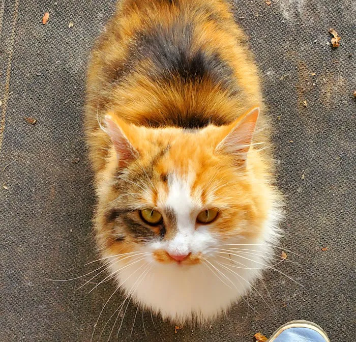 Hancock Veterinary Clinic Picture 2