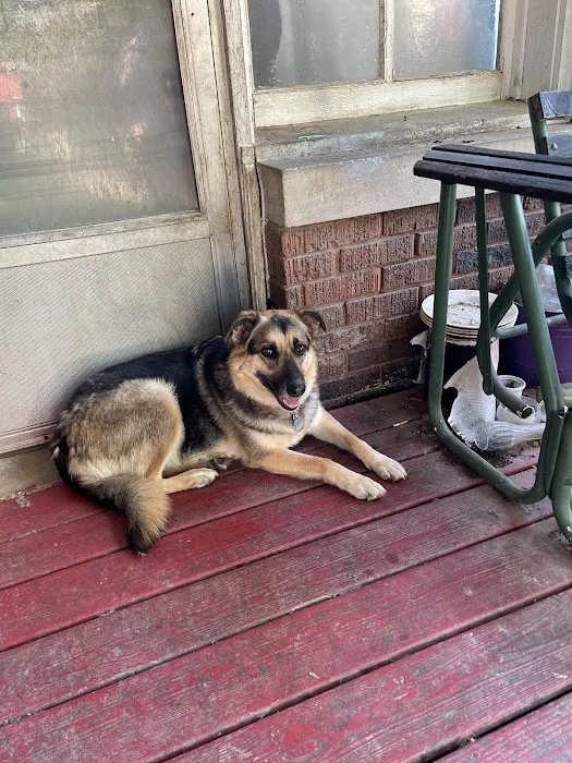 Hancock Veterinary Clinic Picture 3