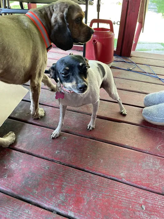 Hancock Veterinary Clinic Picture 6