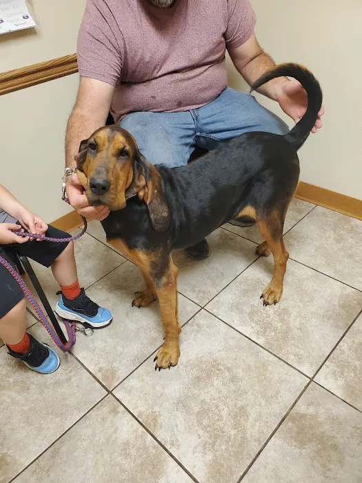 Hancock Veterinary Clinic Picture 5