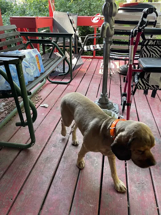 Hancock Veterinary Clinic Picture 7