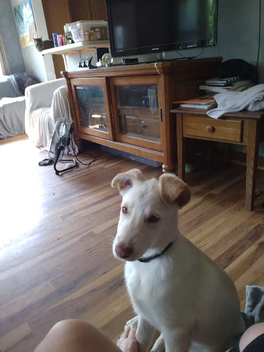 Hancock Veterinary Clinic Picture 9