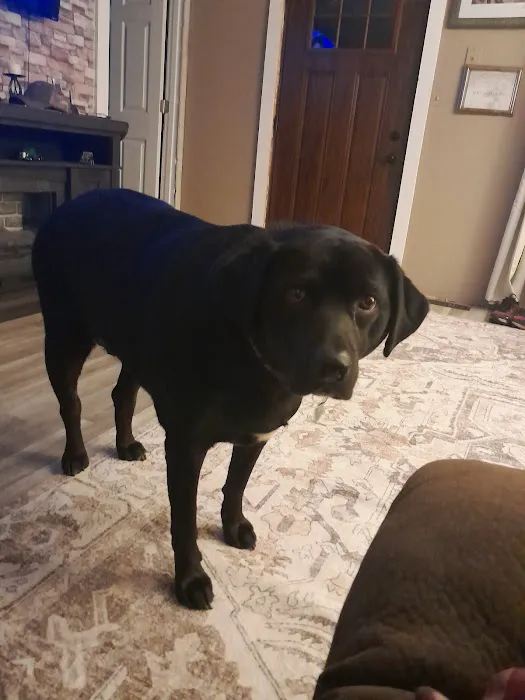 Hancock Veterinary Clinic Picture 8