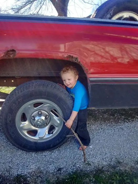 Holst Veterinary Services Picture 1