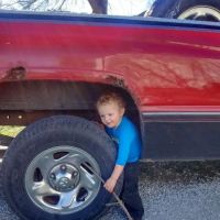 Holst Veterinary Services ico