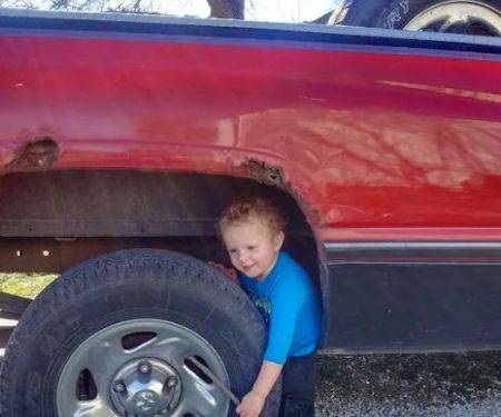 Holst Veterinary Services