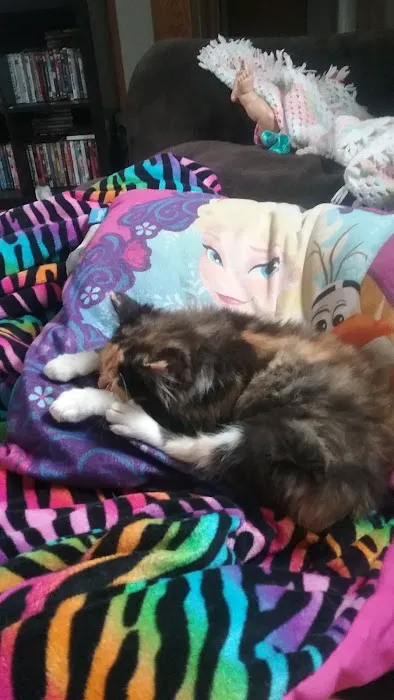 Holst Veterinary Services Picture 4