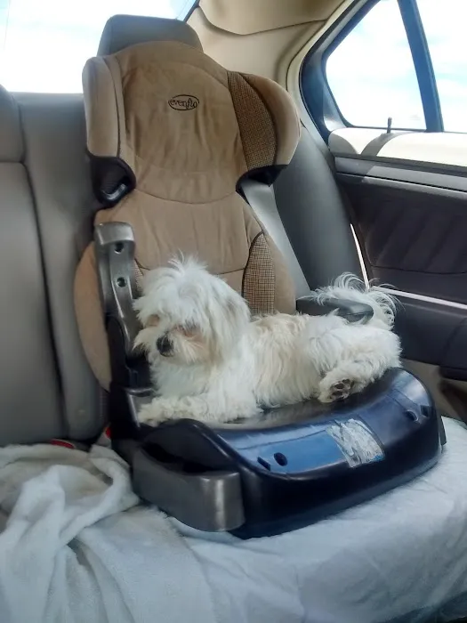 Holst Veterinary Services Picture 3