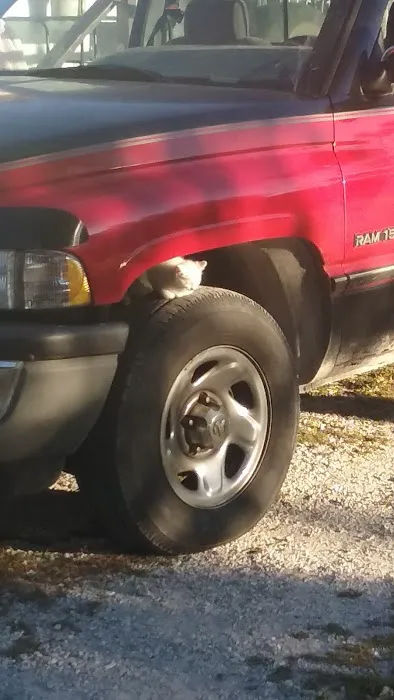 Holst Veterinary Services Picture 9