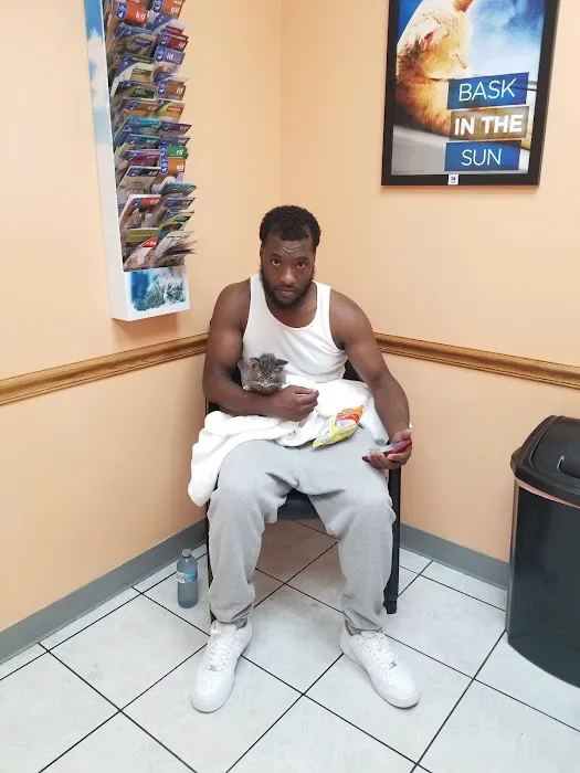 Jaiswal V DVM Picture 1