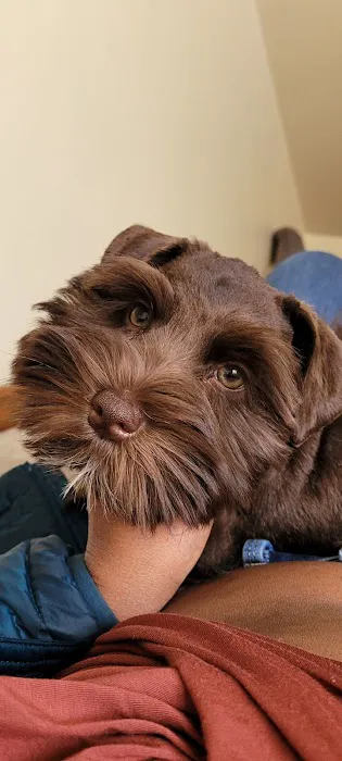 West Burleigh Vet Clinic Picture 5