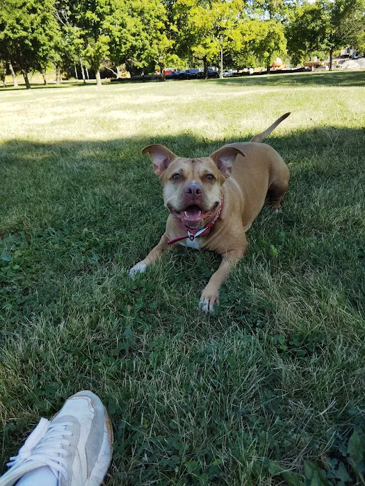 West Burleigh Vet Clinic Picture 9