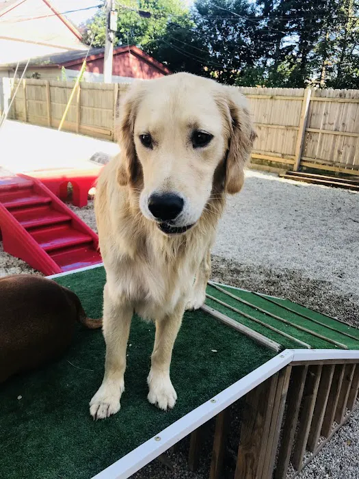 West Burleigh Vet Clinic Picture 7