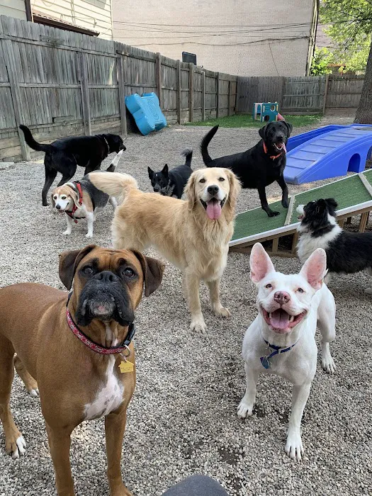 West Burleigh Vet Clinic Picture 6