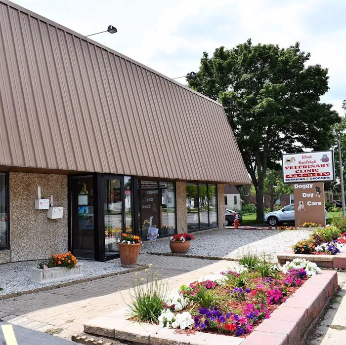 West Burleigh Vet Clinic Picture 10