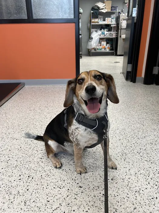 Riverwest Veterinary Clinic Picture 2