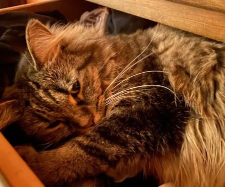 Riverwest Veterinary Clinic