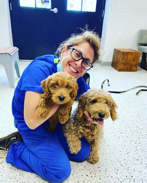 Riverwest Veterinary Clinic Picture 6