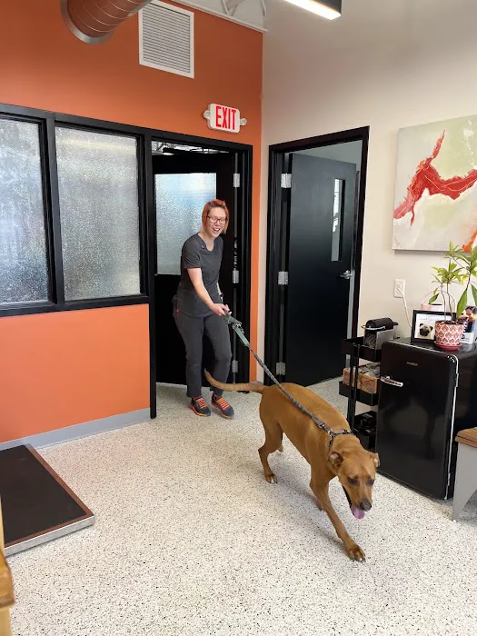 Riverwest Veterinary Clinic Picture 7