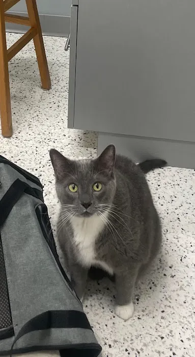 Riverwest Veterinary Clinic Picture 3