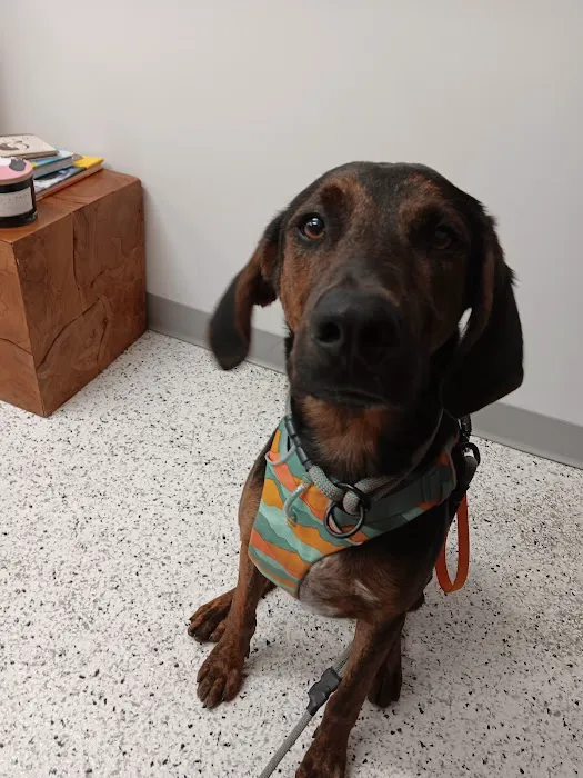 Riverwest Veterinary Clinic Picture 4