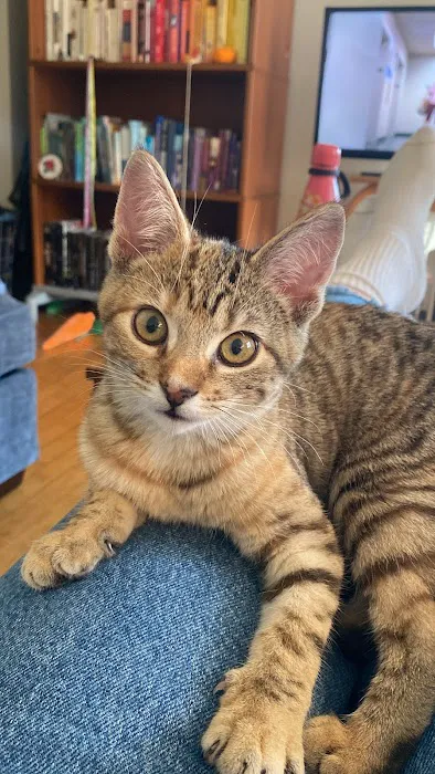 Riverwest Veterinary Clinic Picture 9