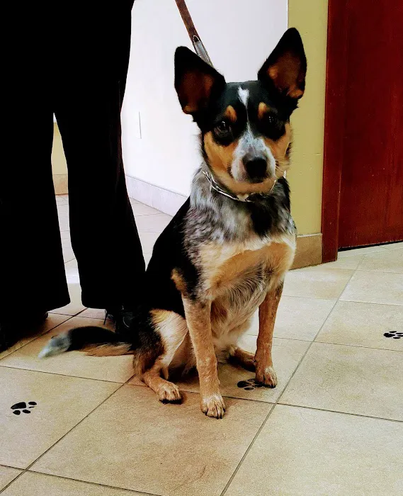 Bayshore Veterinary Clinic Picture 5