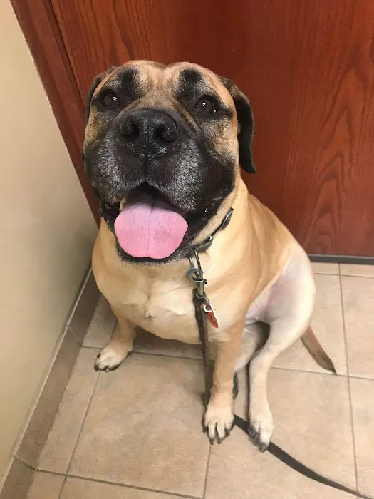 Bayshore Veterinary Clinic Picture 10