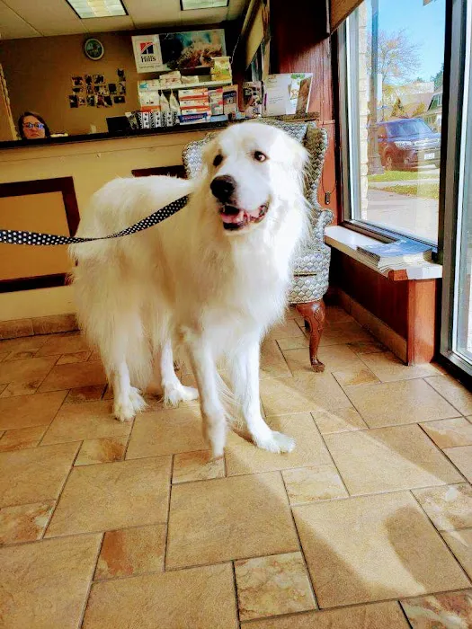 Bayshore Veterinary Clinic Picture 8