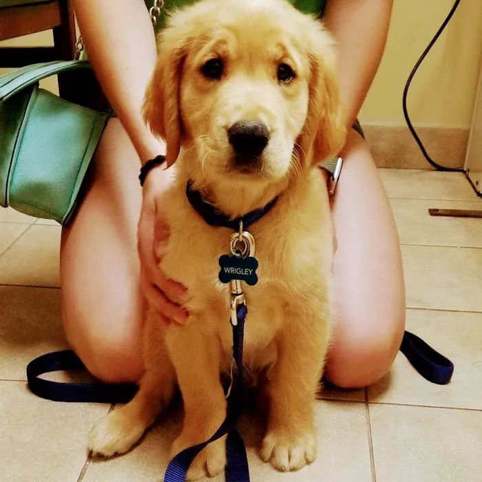 Bayshore Veterinary Clinic Picture 7