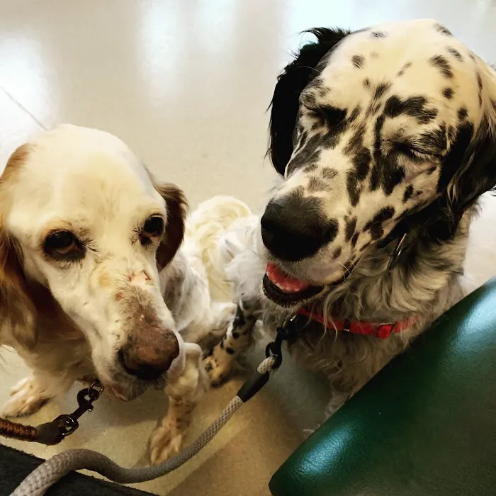 Shorewood Animal Hospital Picture 4