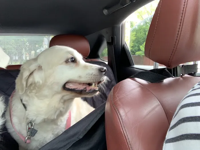 Shorewood Animal Hospital Picture 8