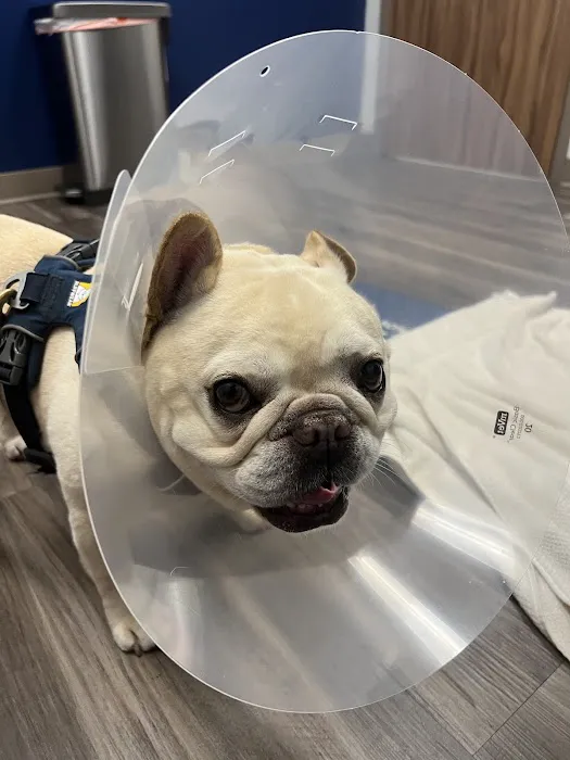 Oak Leaf Veterinary Clinic Picture 1