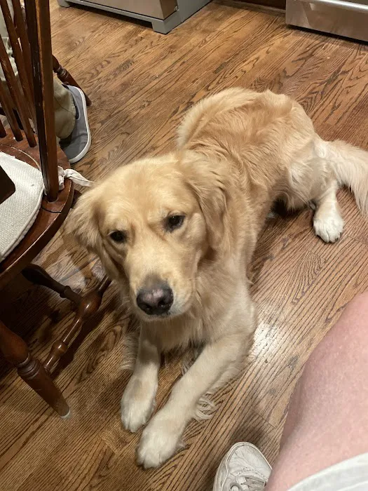 Oak Leaf Veterinary Clinic Picture 2