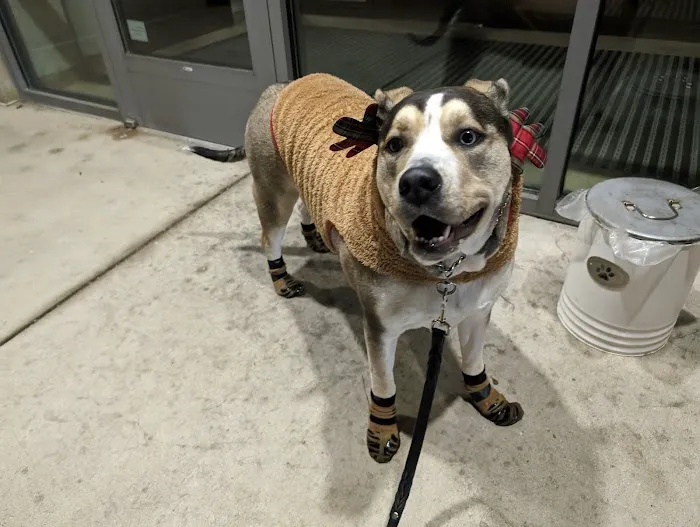 Oak Leaf Veterinary Clinic Picture 3