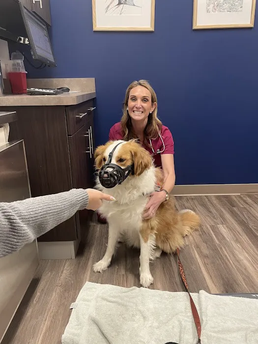 Oak Leaf Veterinary Clinic Picture 4