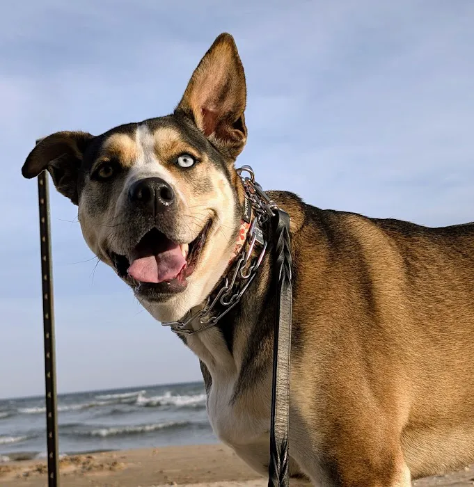 Oak Leaf Veterinary Clinic Picture 5