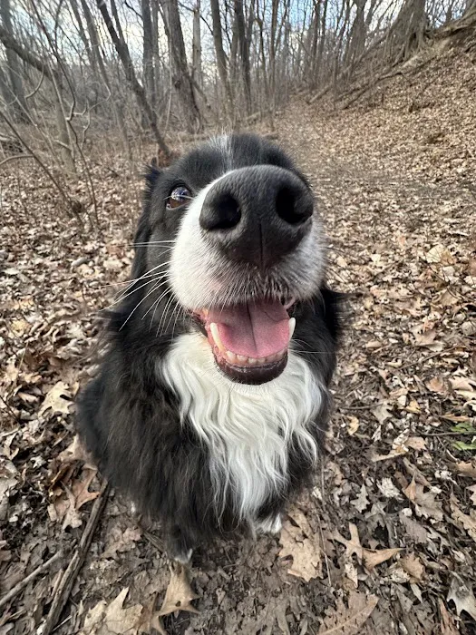 Oak Leaf Veterinary Clinic Picture 7
