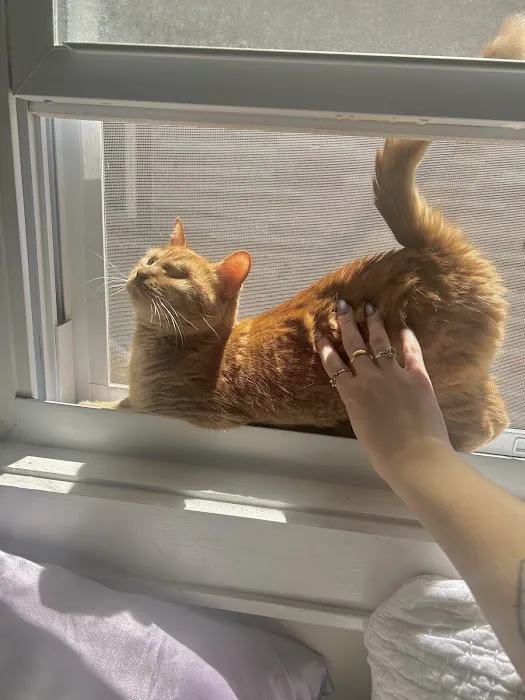 Oak Leaf Veterinary Clinic Picture 9